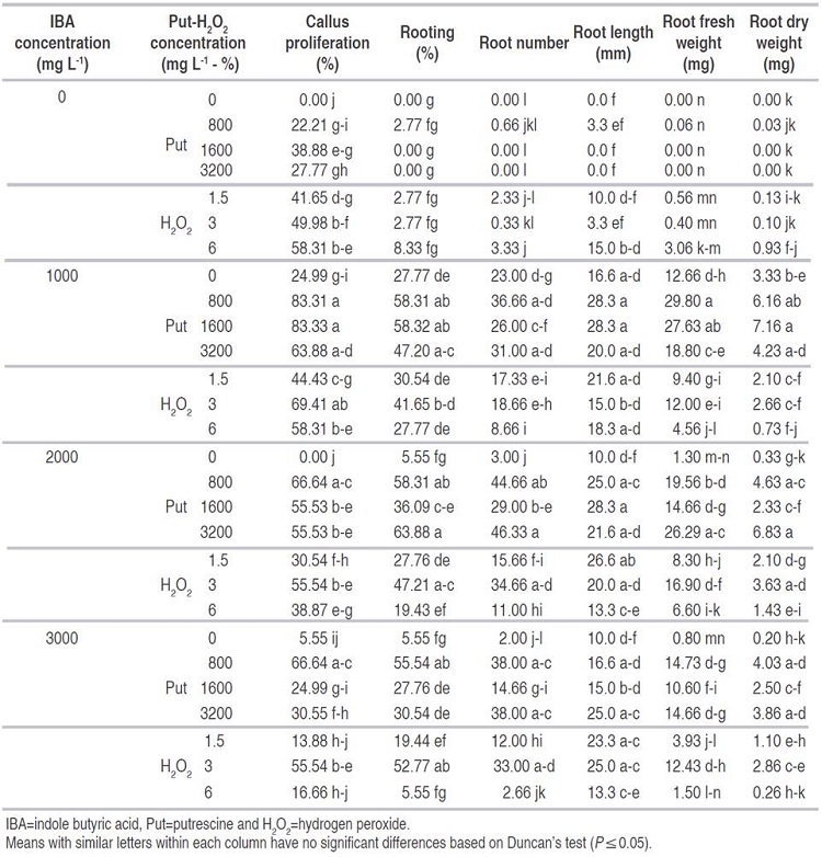 The interaction effect of IBA, Put and H2O2 on callus proliferation and rooting of GF677 hardwood cuttings in March.