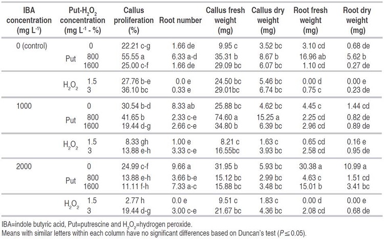 The interaction effect of IBA, Put and H2O2 on rooting and callus proliferation of GF677 semi hardwood cuttings in October.