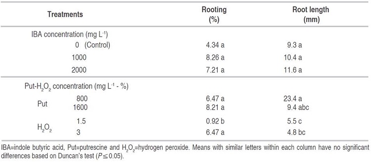 Effect of IBA, Put and H2O2 on root length and rooting of GF677 stem cuttings in October.