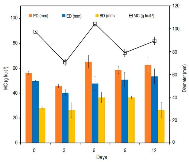 Physical analysis on cashew apple. MC=mass content; PD= polar diameter; ED= equatorial diameter; BD= basal diameter.