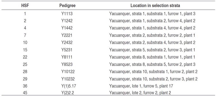 Half-sibling families of lulo derived from cuttings, obtained through individual stratified selection of the region of the department of Nariño, Colombia.