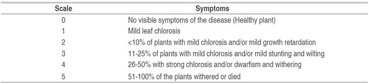 Scale for weighted severity assessment of Fusarium oxysporum.