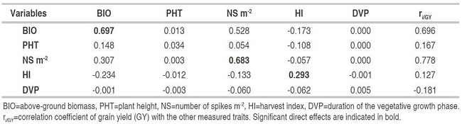 Direct (diagonal) and indirect effects of the determinants of grain yield of the F3 generation (n=330).