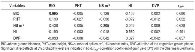 Direct (diagonal) and indirect effects of the determinants of grain yield of the F4 generation (n=174).
