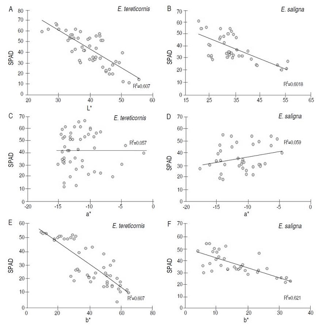 Relationship between color by L*a*b* format with leaf nitrogen content (LNC) of plants of E. tereticornis (A, C, E) and E. saligna (B, D, F).