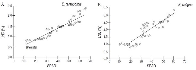 Relationship between SPAD values and leave nitrogen content (LNC) in plants of E. tereticornis (A) and E. saligna (B).