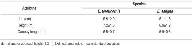 General characteristics of the study plantations in Cartago, Costa Rica.