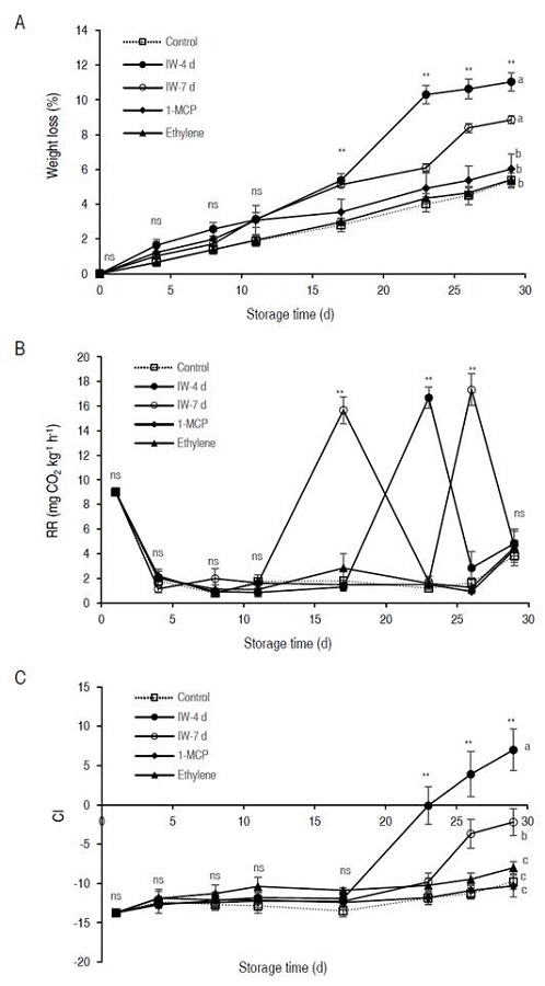 Effect of Intermittent Warming: IM-4 and IM-7; 1-MCP and Ethylene treatments on weight loss (A), respiration rate (mg CO2 kg-1 h-1) (B), and color index (CI) of epidermis (C) of "Hass" avocado fruits in storage at 2 °C. The vertical bars on each mean indicate the standard error (n=4). According to the analysis of variance, ns: no statistical differences, * differences at 5%, and ** 1%. Means followed by the same letter indicate no significant differences according to Tukey's test (P<0.05).