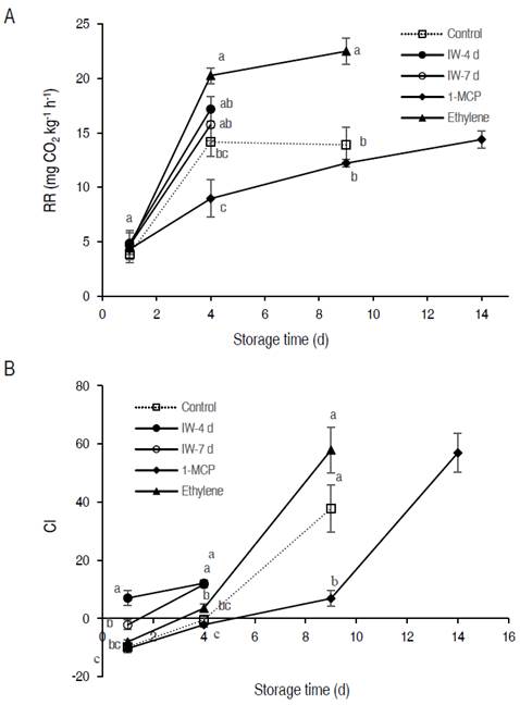 Effect of Intermittent Warming: IM-4 and IM-7, 1-MCP and Ethylene treatments on respiration rate (A) and color index (CI) of epidermis (B) of "Hass" avocado fruits in shelf-life (18 °C) after being stored 29 days at 2 °C. The vertical bars on each mean indicate the standard error (n=4). Means followed by the same letter indicate no significant differences according to Tukey's test (P<0.05).