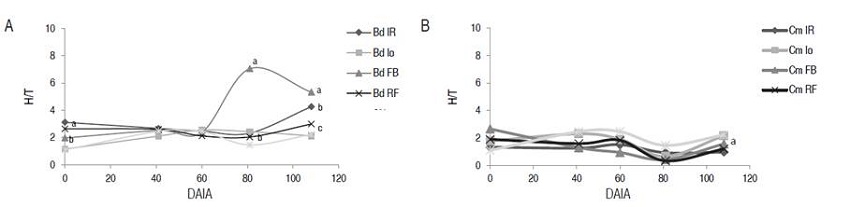 Dynamics of the leaf/stem ratio during grazing in A) the Brachiaria dictyoneura grass and B) the Centrosema macrocarpum legume under different sources of fertilization during cover growth. IR: high dose of P (50% of P2O5 as RF and 50% as FDA); Io: control without fertilization (0 N - 0 P2O5 - 0 K2O); FB: low dose of P (25% of P2O5 as RF and inoculation with biofertilizer based on native arbuscular mycorrhizal fungi); RF: high dose of phosphorus (100% of P2O5 as RF); DAIA: days after animals are introduced. Bars indicate standard deviation (different letters show statistically significant differences between fertilization treatments for each moment of sampling, Duncan P<0.05, n=24).