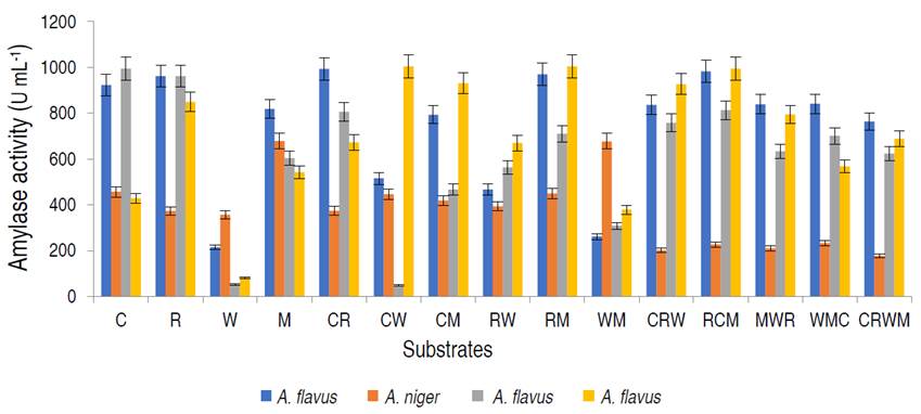 Amylase activity of the amylolytic fungi on different organic substrates viz; 100% corn (C); rice (R); wheat (W); millet (M); 1:1 corn and rice (CR); corn and wheat (CW); corn and millet (CM); rice and wheat (RW); rice and millet (RM); wheat and millet (WM); 1:2:1 corn, rice and wheat (CRW); rice, corn and millet (RCM); millet, wheat and rice (MWR); wheat, millet and corn (WMC); 1:1:1:1 corn, rice, wheat and millet (CRWM).