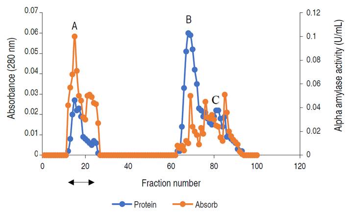 Chromatogram of α-amylase produced by A. flavus on ion-exchange column (2.5&times;40 cm) of DEAE Sephadex.