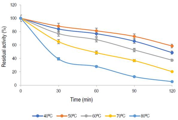 Effect of temperature on the stability of α-amylase from A. flavus.