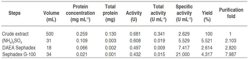 Summary of purification of α-amylase from A. flavus.