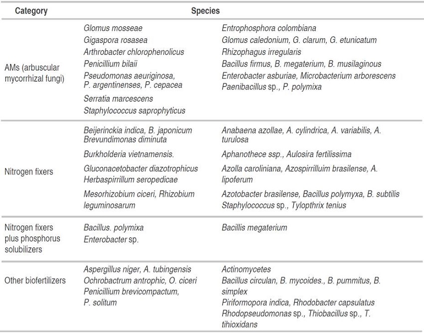 Species of microorganisms used in biofertilization.