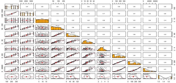 Pearson correlation matrix for the variables plant height (PH), stem diameter (SD), number of leaves (LN), internode length (IL), canopy length N-S and E-W, and the area occupied by the plant (AOP) in papaya plants variety UN Cotov&eacute;. Cotove SA. Santa Fe de Antioquia, Colombia.