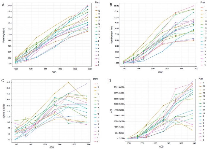 Allometric variables in the UN Cotov&eacute; papaya variety as a function of the accumulated degree days.
