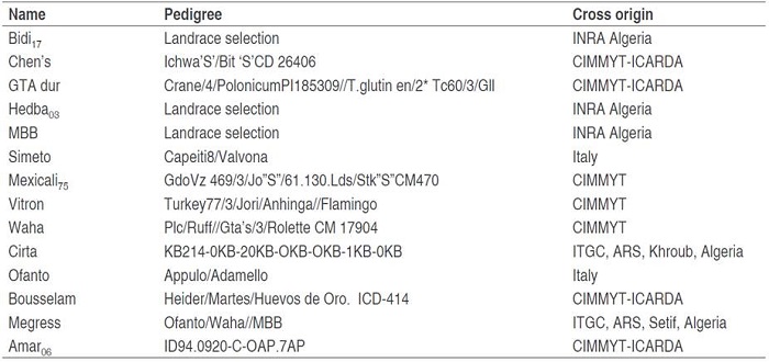 Name, pedigree, and cross origin of the 14 durum wheat genotypes studied.