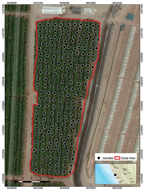 Location of the avocado cultivation study area.