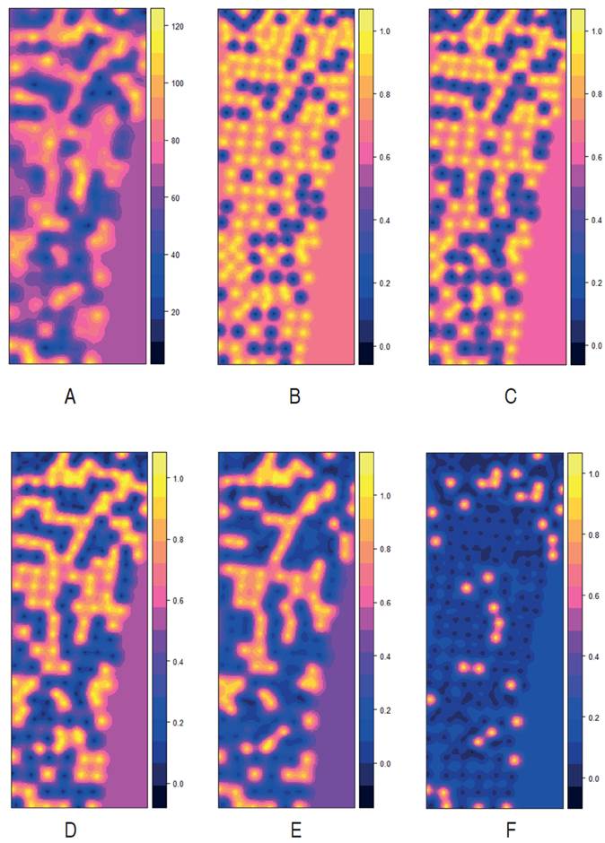 Univariate Predictions and risk indicator functions of Oligonychus sp. count in avocado trees. A. Prediction of Ordinary Kriging; B. Kriging Indicator > 50 mites/leaf; C. Kriging Indicator. >60 mites/leaf; D. Kriging Indicator > 70 mites/leaf; E. Kriging Indicator > 80 mites/leaf; F. Kriging Indicator > 100 mites/leaf.