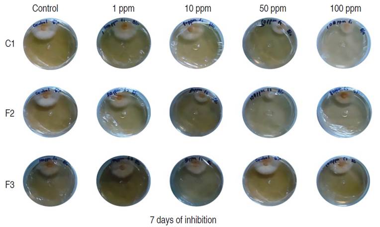 Inhibition of mycelial growth of M. roreri in PDA media with different compounds (C1, F2 and F3) evaluated 7 days after inoculation.