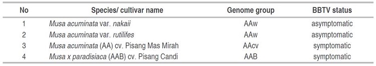 Plant materials examined in this study as BBTV isolate source.