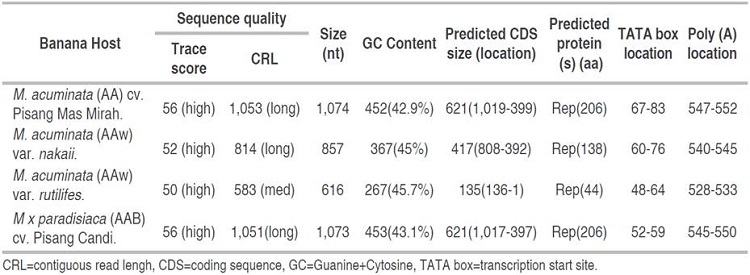 BBTV DNA-R sequences profile of banana isolates from East Java via Seqscanner.