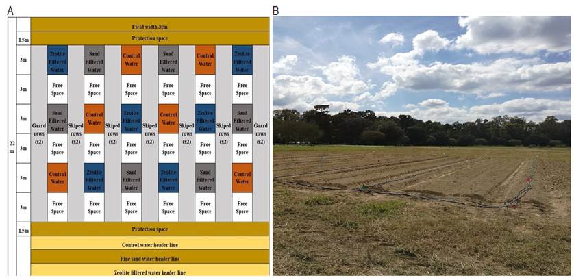 LSU AgCenter Strawberry Field. A. Plot layout. B. Field view, October 2017.
