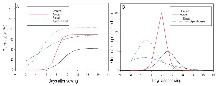 Effect of scarification type on accumulated germination (A) and the germination speed (B) of S. oleraceus seeds.