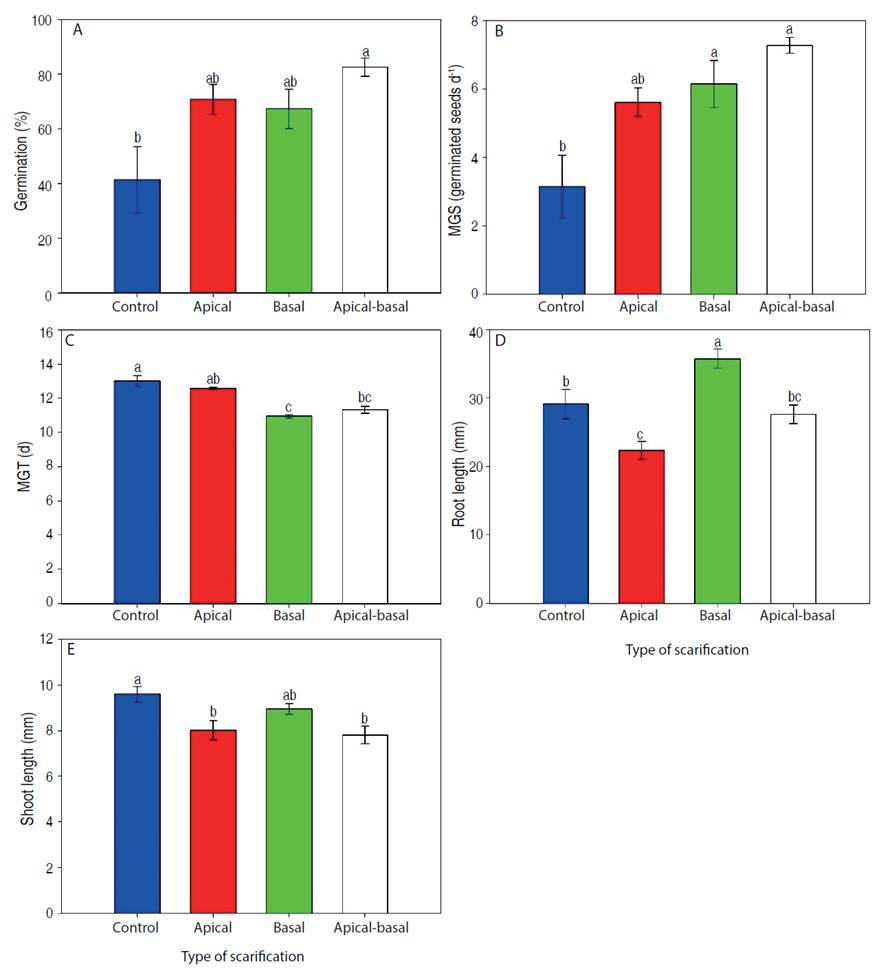 Effect of scarification type on germination percentage (A), mean germination speed (B), mean germination time (C), length of root (D), and length of shoot (E) of S. oleraceus. Means followed by different letters indicate significant differences according to the Tukey test (P<0.05). Vertical bars for each mean indicate the standard error (n=4). 