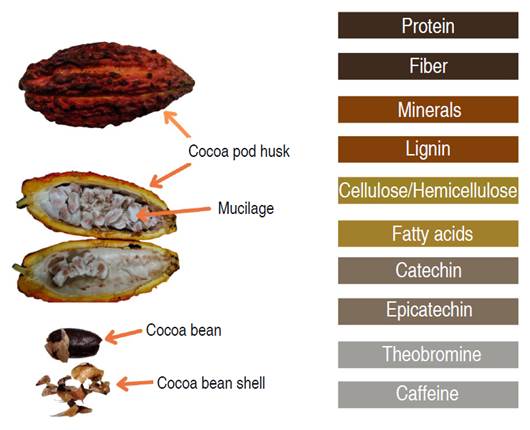 Cocoa by-products and compounds of interest for use.
