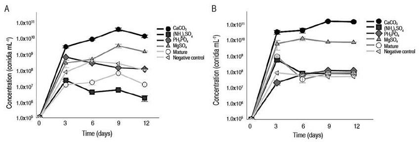 Conidia production kinetics with different microelements. A. T. asperellum GRB-HA01, B. T. asperellum GRB-HA02 in solid cultures.