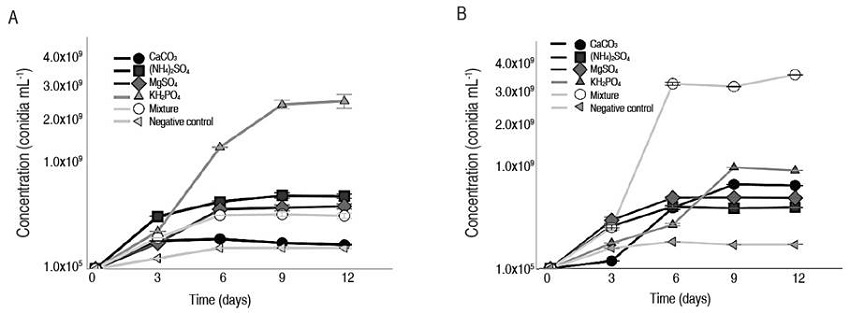 Conidia production kinetics in T. asperellum. A. GRB-HA01 and B. GRB-HA02 in liquid fermentation.