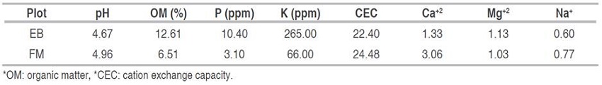 Characterization of the soils in the two experimental plots.