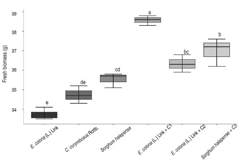 Fresh biomass of weeds at 90 days after inoculation of lead-tolerant bacterial consortia (BC). Different lowercase letters indicate significant differences between treatments (P<0.05).