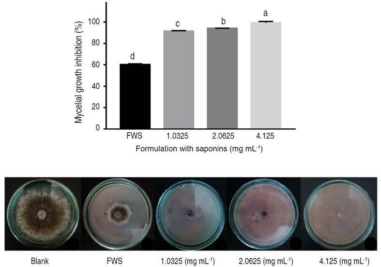 In vitro antifungal activities of the biopesticide formulation with saponin extract against mycelial growth of B. cinerea.