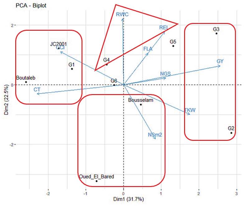 Biplot of genotypes and measured parameters with the first three components of PCA.