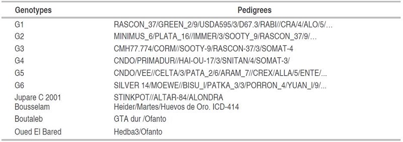 The pedigrees of the genotypes tested.