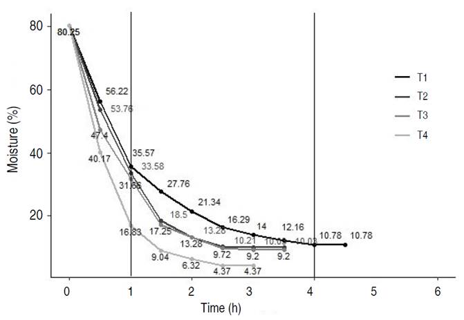 Effect of different temperatures and DAV on lemon balm drying.