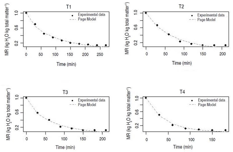 Drying kinetics of Melissa leaves at different temperatures and DAV conditions.
