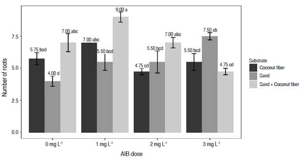 Effect of the interaction between substrate and AIB dose factors on the number of roots of Vaccinium sp.