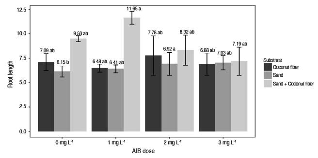 Effect of the interaction between substrate factors and AIB dose on root length of Vaccinium sp.