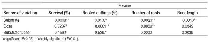 Probability P value in the rooting of native blueberry mini-shoots with different substrates and AIB concentrations.