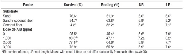 Multiple comparisons of means according to Tukey post-hoc test (α=5%) for rooting variables of native blueberry mini shoots.