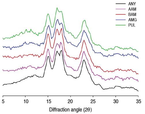 X-ray diffraction patterns of native and modified cassava starches. AAM: α-amylase; BAM: β-amylase; AMG: amyloglucosidase; PUL: pullulanase.