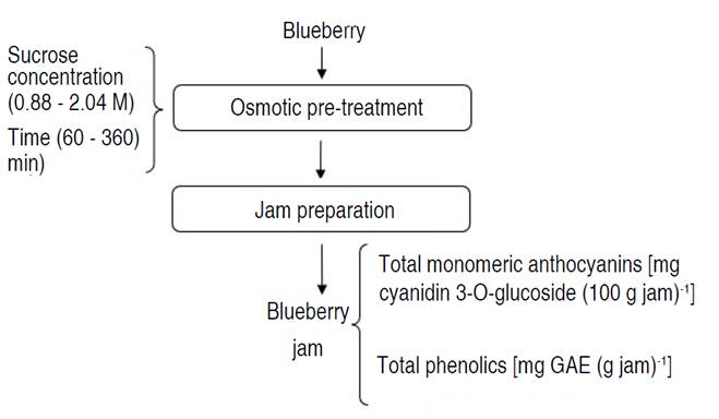 Experimental scheme for osmotic pre-treatment and preparation of Biloxi variety blueberry jam.