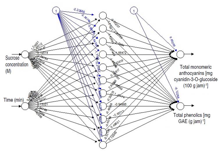 Artificial neural networks in the retention of anthocyanins and total phenolics in the osmotic pre-treatment of Biloxi variety blueberry jam.