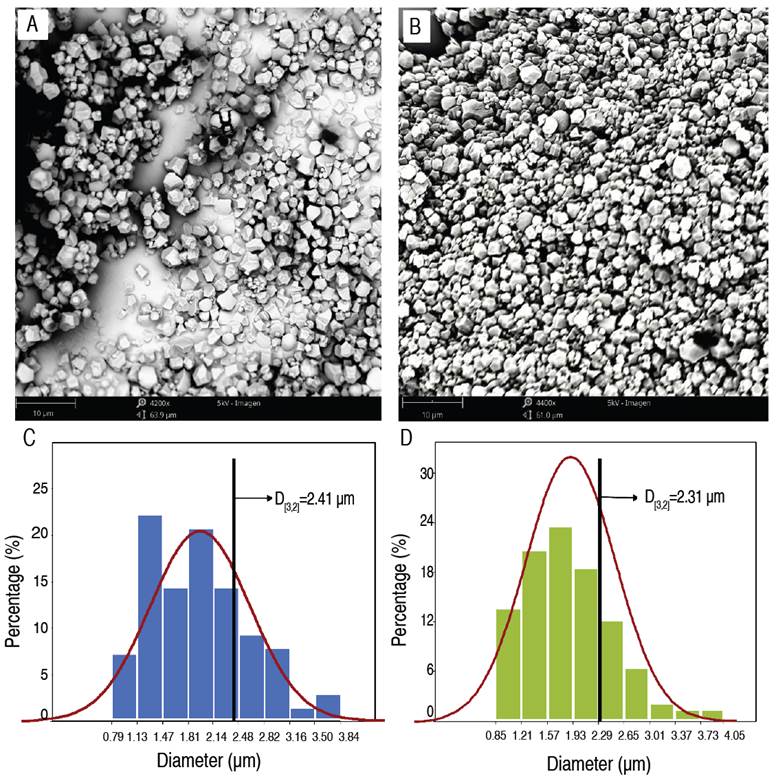 Morphology and size distribution of the starch granules. PTS (A, C) and WTS (B, D).