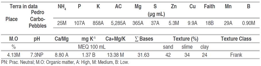 The result of the soil analysis of the experimental unit.