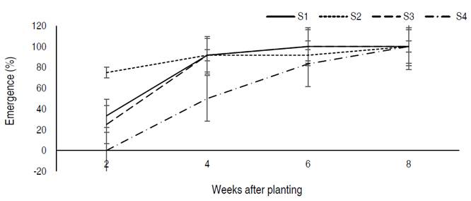 Influence of corm storage methods on the emergence of cocoyam. S1 = Freshly harvested propagule, S2 = propagule stored under shade, S3 = propagule stored in pits, S4 = propagule stored on raised platforms.